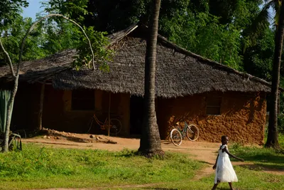 DSC_8509 (Large).JPG